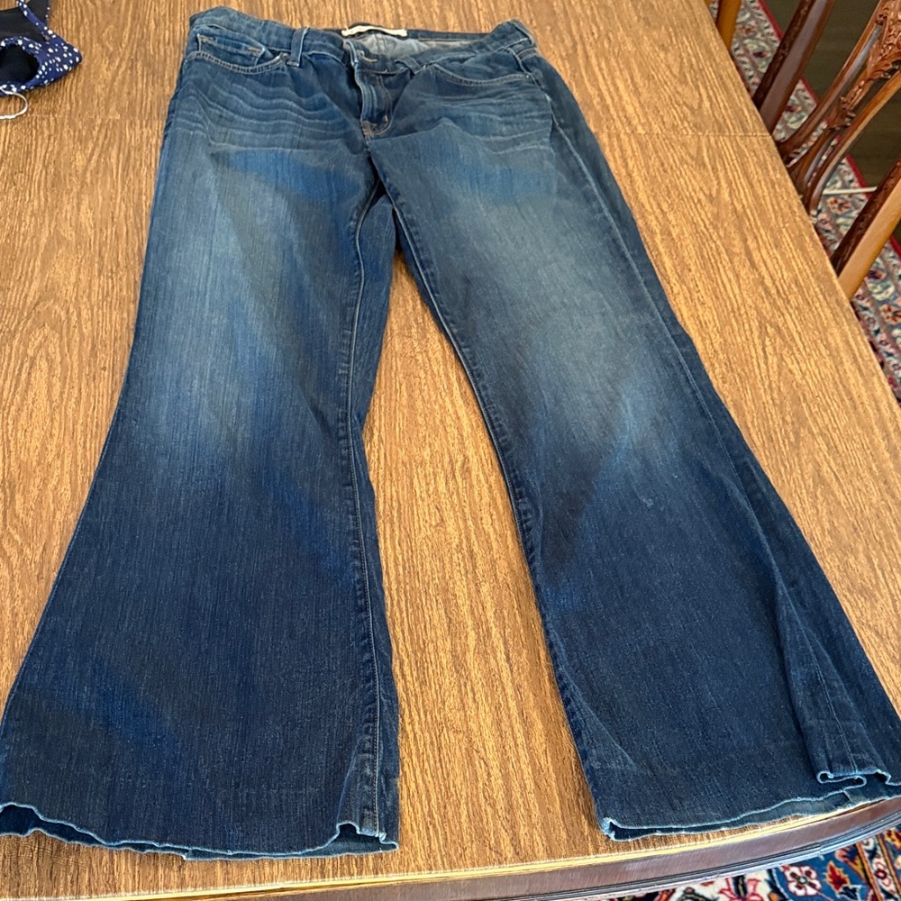 J Brand Stylish Blue Flared Jeans size 28